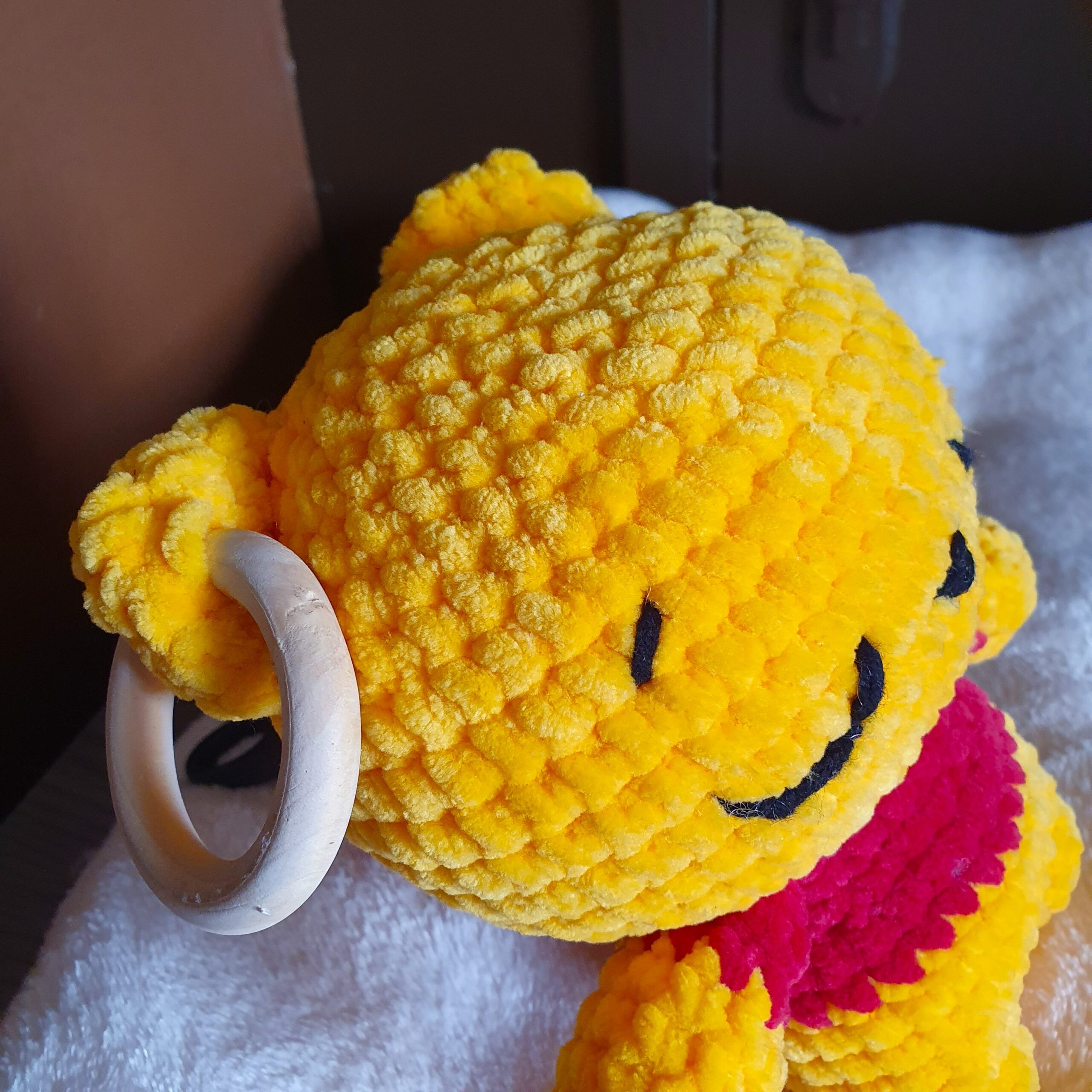 zoom sur l'anneau de dentition de winnie